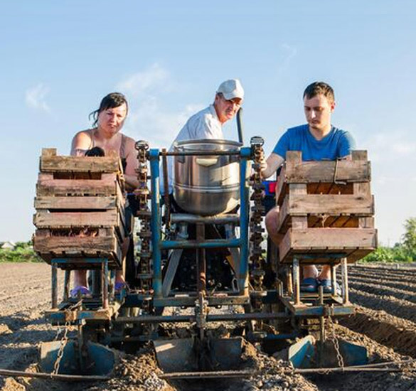 prod-agro-sector